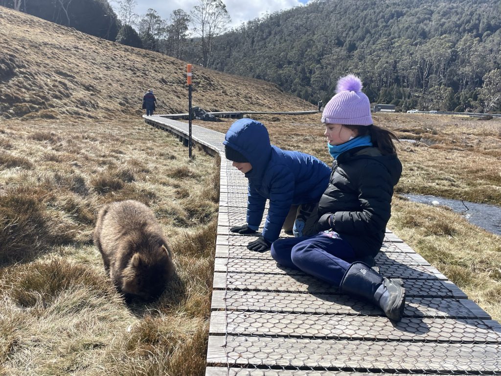 Best Time of Year to Travel Around Australia