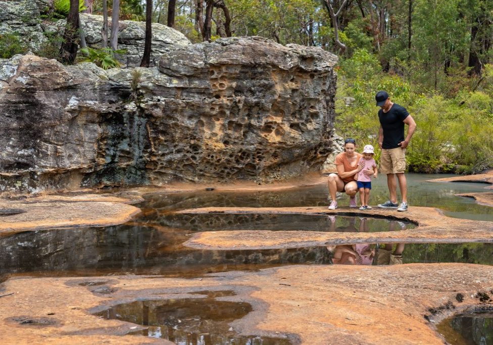 How Much Does It Cost to Travel Australia for a Year? (Real Family Budget Guide)