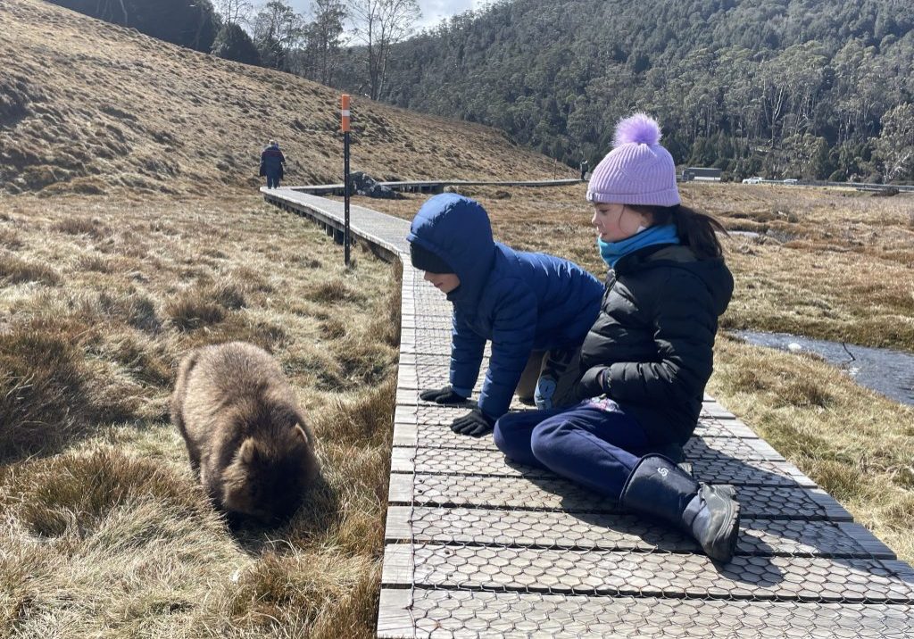 Best Time of Year to Travel Around Australia